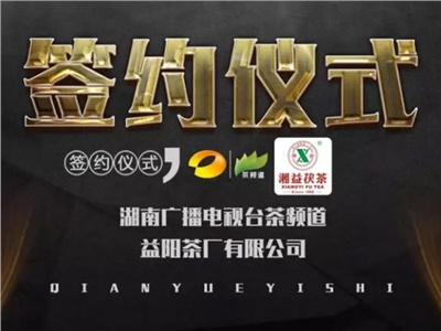 湘益茯，美茗揚 丨湘益茯茶與茶頻道達成長期戰(zhàn)略合作