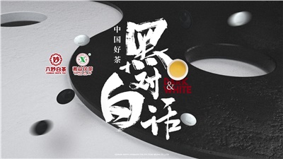 首屆黑白對(duì)話高峰論壇圓滿落幕！湘益茯茶備受關(guān)注！